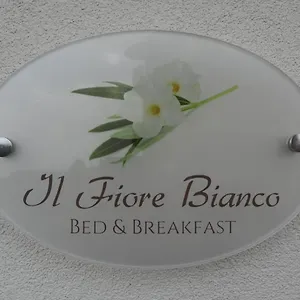  Couette-café Il Fiore Bianco